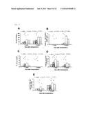 NOVEL USE FOR PAI-1 INHIBITOR diagram and image