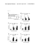 NOVEL USE FOR PAI-1 INHIBITOR diagram and image