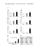 NOVEL USE FOR PAI-1 INHIBITOR diagram and image