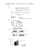 NOVEL USE FOR PAI-1 INHIBITOR diagram and image