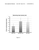 Combination Therapies for the Treatment of Alzheimer s Disease and Related     Disorders diagram and image