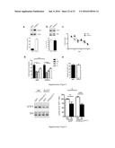 Methods and Treatments for the Learning and Memory Deficits Associated     with Noonan Syndrome diagram and image