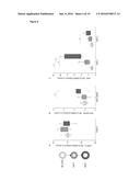 INHIBITORS OF ADAMTS4 OR ADAMTS5 FOR USE IN PREVENTING OR TREATING CARDIAC     REMODELING AND CHRONIC HEART FAILURE diagram and image