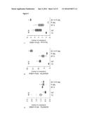 INHIBITORS OF ADAMTS4 OR ADAMTS5 FOR USE IN PREVENTING OR TREATING CARDIAC     REMODELING AND CHRONIC HEART FAILURE diagram and image