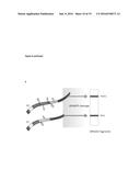 INHIBITORS OF ADAMTS4 OR ADAMTS5 FOR USE IN PREVENTING OR TREATING CARDIAC     REMODELING AND CHRONIC HEART FAILURE diagram and image