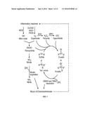 TUNGSTATE TREATMENT OF THE DYSBIOSIS ASSOCIATED WITH GASTROINTESTINAL     INFLAMMATION diagram and image