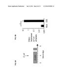 TUNGSTATE TREATMENT OF THE DYSBIOSIS ASSOCIATED WITH GASTROINTESTINAL     INFLAMMATION diagram and image