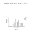 HUMAN APPLICATION OF ENGINEERED CHIMERIC ANTIGEN RECEPTOR (CAR) T-CELLS diagram and image