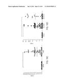 HUMAN APPLICATION OF ENGINEERED CHIMERIC ANTIGEN RECEPTOR (CAR) T-CELLS diagram and image