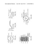 HUMAN APPLICATION OF ENGINEERED CHIMERIC ANTIGEN RECEPTOR (CAR) T-CELLS diagram and image