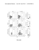 HUMAN APPLICATION OF ENGINEERED CHIMERIC ANTIGEN RECEPTOR (CAR) T-CELLS diagram and image