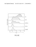 HUMAN APPLICATION OF ENGINEERED CHIMERIC ANTIGEN RECEPTOR (CAR) T-CELLS diagram and image