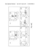 HUMAN APPLICATION OF ENGINEERED CHIMERIC ANTIGEN RECEPTOR (CAR) T-CELLS diagram and image