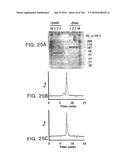 METHODS FOR TREATING SCLERODERMA BY ADMINISTERING A SOLUBLE CTLA4 MOLECULE diagram and image