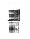 REMODELING AND GLYCOPEGYLATION OF FIBROBLAST GROWTH FACTOR (FGF) diagram and image