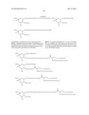 REMODELING AND GLYCOPEGYLATION OF FIBROBLAST GROWTH FACTOR (FGF) diagram and image