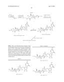 REMODELING AND GLYCOPEGYLATION OF FIBROBLAST GROWTH FACTOR (FGF) diagram and image