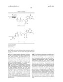 REMODELING AND GLYCOPEGYLATION OF FIBROBLAST GROWTH FACTOR (FGF) diagram and image