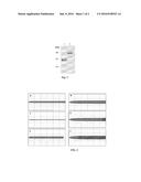 Fibrinogen Preparations Enriched in Fibrinogen With An Extended Alpha     Chain diagram and image