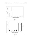 GENETICALLY MODIFIED BABESIA PARASITES EXPRESSING PROTECTIVE TICK ANTIGENS     AND USES THEREOF diagram and image