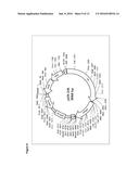 IMMUNOMODULATORY MINICELLS AND METHODS OF USE diagram and image