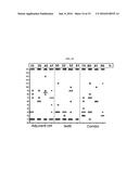 COMPOSITIONS FOR IMMUNISING AGAINST STAPHYLOCOCCUS AUREUS diagram and image