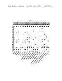 COMPOSITIONS FOR IMMUNISING AGAINST STAPHYLOCOCCUS AUREUS diagram and image