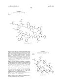 MACROCYCLIC INHIBITORS OF THE PD-1/PD-L1 AND CD80(B7-1)/PD-L1     PROTEIN/PROTEIN INTERACTIONS diagram and image