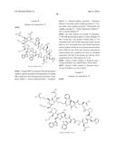 MACROCYCLIC INHIBITORS OF THE PD-1/PD-L1 AND CD80(B7-1)/PD-L1     PROTEIN/PROTEIN INTERACTIONS diagram and image