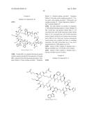 MACROCYCLIC INHIBITORS OF THE PD-1/PD-L1 AND CD80(B7-1)/PD-L1     PROTEIN/PROTEIN INTERACTIONS diagram and image