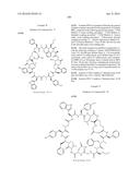 MACROCYCLIC INHIBITORS OF THE PD-1/PD-L1 AND CD80(B7-1)/PD-L1     PROTEIN/PROTEIN INTERACTIONS diagram and image