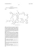 MACROCYCLIC INHIBITORS OF THE PD-1/PD-L1 AND CD80(B7-1)/PD-L1     PROTEIN/PROTEIN INTERACTIONS diagram and image