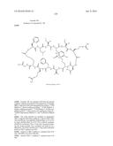 MACROCYCLIC INHIBITORS OF THE PD-1/PD-L1 AND CD80(B7-1)/PD-L1     PROTEIN/PROTEIN INTERACTIONS diagram and image