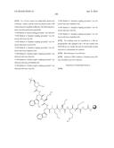 MACROCYCLIC INHIBITORS OF THE PD-1/PD-L1 AND CD80(B7-1)/PD-L1     PROTEIN/PROTEIN INTERACTIONS diagram and image