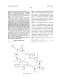 MACROCYCLIC INHIBITORS OF THE PD-1/PD-L1 AND CD80(B7-1)/PD-L1     PROTEIN/PROTEIN INTERACTIONS diagram and image