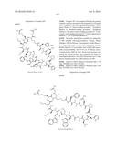 MACROCYCLIC INHIBITORS OF THE PD-1/PD-L1 AND CD80(B7-1)/PD-L1     PROTEIN/PROTEIN INTERACTIONS diagram and image