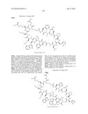 MACROCYCLIC INHIBITORS OF THE PD-1/PD-L1 AND CD80(B7-1)/PD-L1     PROTEIN/PROTEIN INTERACTIONS diagram and image