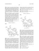 MACROCYCLIC INHIBITORS OF THE PD-1/PD-L1 AND CD80(B7-1)/PD-L1     PROTEIN/PROTEIN INTERACTIONS diagram and image