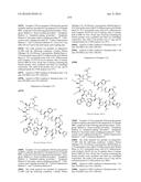 MACROCYCLIC INHIBITORS OF THE PD-1/PD-L1 AND CD80(B7-1)/PD-L1     PROTEIN/PROTEIN INTERACTIONS diagram and image