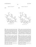 MACROCYCLIC INHIBITORS OF THE PD-1/PD-L1 AND CD80(B7-1)/PD-L1     PROTEIN/PROTEIN INTERACTIONS diagram and image