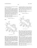 MACROCYCLIC INHIBITORS OF THE PD-1/PD-L1 AND CD80(B7-1)/PD-L1     PROTEIN/PROTEIN INTERACTIONS diagram and image