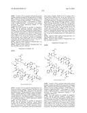 MACROCYCLIC INHIBITORS OF THE PD-1/PD-L1 AND CD80(B7-1)/PD-L1     PROTEIN/PROTEIN INTERACTIONS diagram and image