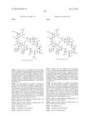 MACROCYCLIC INHIBITORS OF THE PD-1/PD-L1 AND CD80(B7-1)/PD-L1     PROTEIN/PROTEIN INTERACTIONS diagram and image