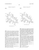 MACROCYCLIC INHIBITORS OF THE PD-1/PD-L1 AND CD80(B7-1)/PD-L1     PROTEIN/PROTEIN INTERACTIONS diagram and image