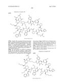 MACROCYCLIC INHIBITORS OF THE PD-1/PD-L1 AND CD80(B7-1)/PD-L1     PROTEIN/PROTEIN INTERACTIONS diagram and image