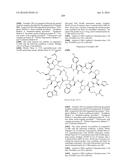 MACROCYCLIC INHIBITORS OF THE PD-1/PD-L1 AND CD80(B7-1)/PD-L1     PROTEIN/PROTEIN INTERACTIONS diagram and image