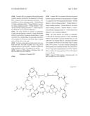 MACROCYCLIC INHIBITORS OF THE PD-1/PD-L1 AND CD80(B7-1)/PD-L1     PROTEIN/PROTEIN INTERACTIONS diagram and image