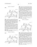 MACROCYCLIC INHIBITORS OF THE PD-1/PD-L1 AND CD80(B7-1)/PD-L1     PROTEIN/PROTEIN INTERACTIONS diagram and image