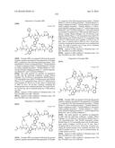 MACROCYCLIC INHIBITORS OF THE PD-1/PD-L1 AND CD80(B7-1)/PD-L1     PROTEIN/PROTEIN INTERACTIONS diagram and image