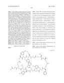 MACROCYCLIC INHIBITORS OF THE PD-1/PD-L1 AND CD80(B7-1)/PD-L1     PROTEIN/PROTEIN INTERACTIONS diagram and image